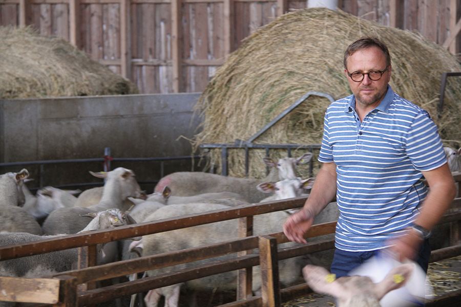 Wolfgang Hautzinger with sheep in the barnstable