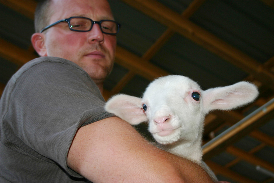 Wolfgang Hautzinger with baby lamb